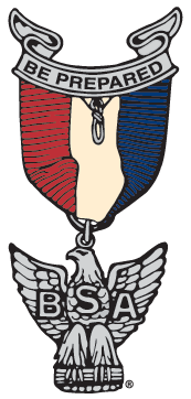 Eagle scouts medal